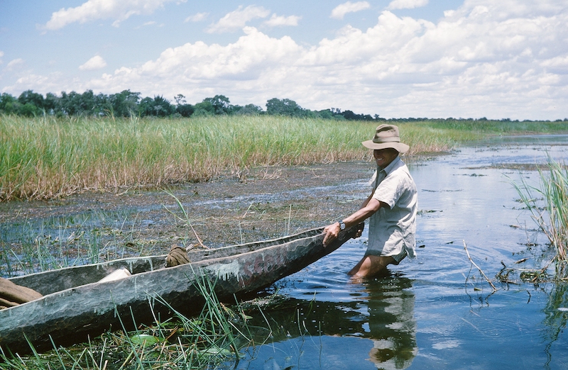 Author exploring the Okavango Swamp, Botswana
